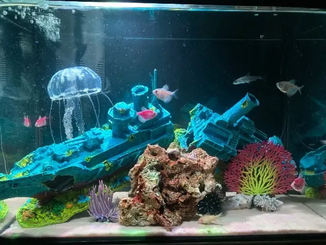 Aquário 50 litros completo com mesa madeira