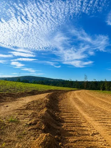 Terreno em Mairinque com árvore