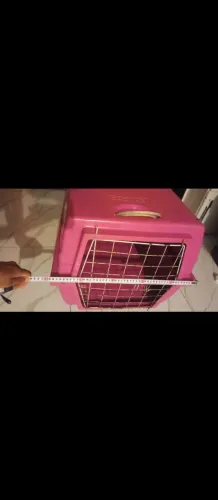 Caixa de transporte grande Pet
