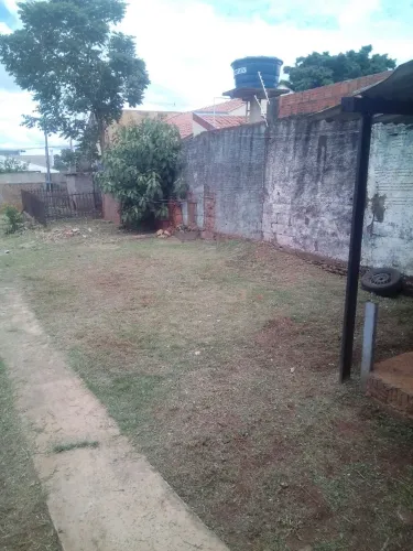 Serviço de jardinagem Aparti 80$