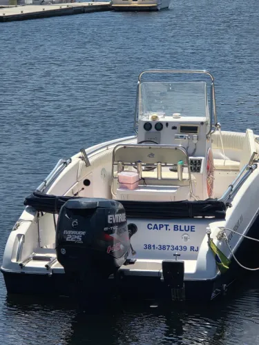  MOTOR DE POPA EVINRUDE 225 HP 2 TEMPOS À VENDA