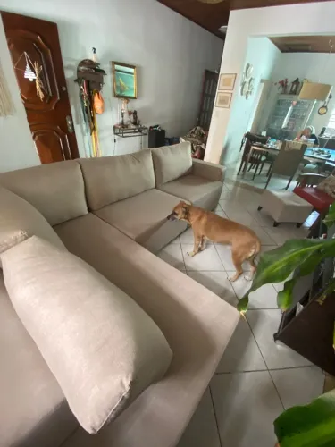 Sofa L Retratil em L Seminovo