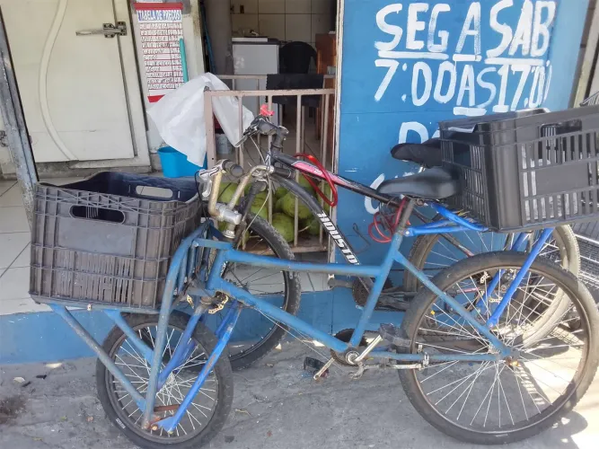 Bicicleta cargueira