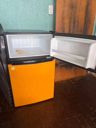 Geladeira dúplex 12v