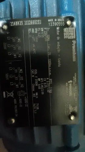 Motor de indução premium trifásico são 2 motores