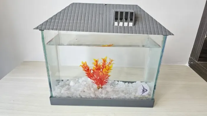 Aquário Betteira 6L 27 x 12 x 20cm com enfeite e pedras