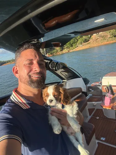 Cavalier king para vc que gosta de qualidade