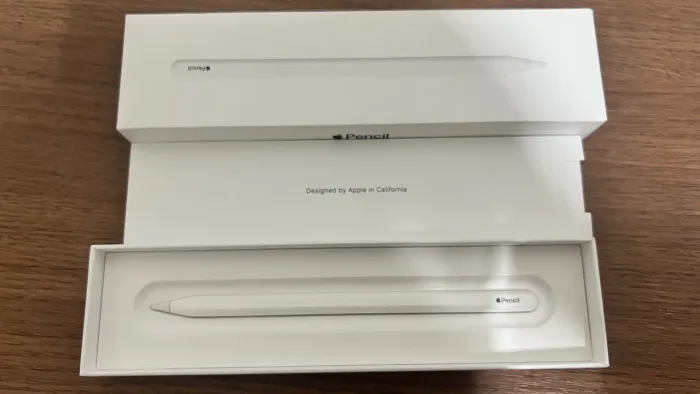 Apple Pencil 2ª Geração Original Apple