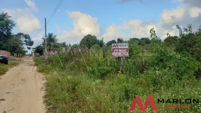 Terreno em Parque das Árvores, plano, cercado, lado da sombra, 1000m².