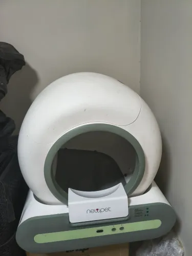 Caixa de Areia automática Newpet gato observar imagens
