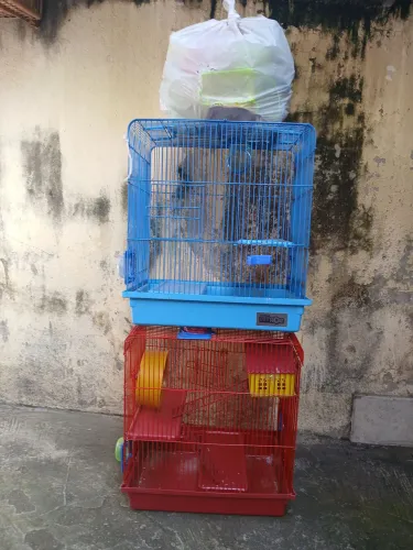 Gaiola para Hamster