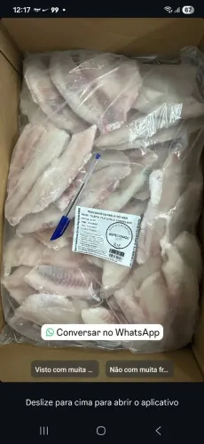 Filé de tilápia