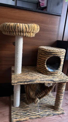 Arranhador para gatinhos, novo novo!