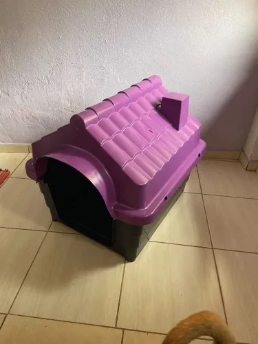 Casinha de cachorro