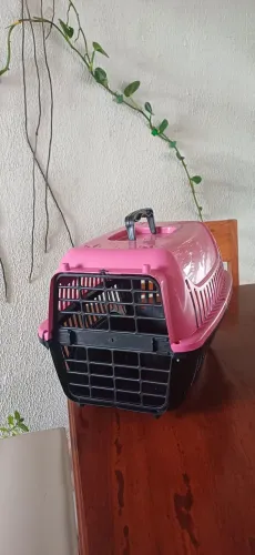 Caixa de transporte para pets