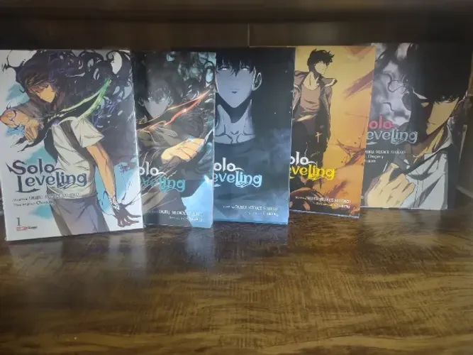 Solo leveling panini