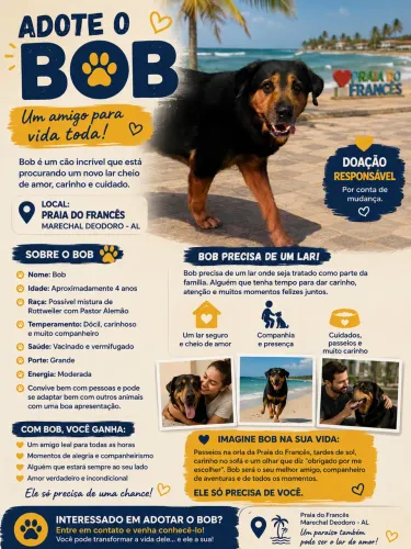 ADOÇÃO RESPONSÁVEL - BOB PROCURA UM LAR 