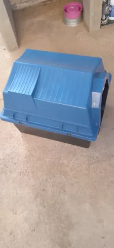 Casinha para pet