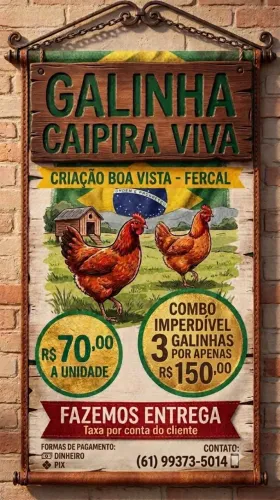 Venda galinha e galo caipira 