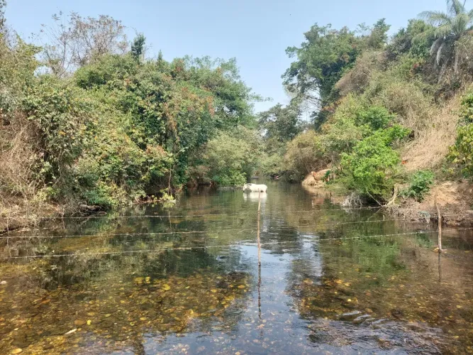 Fazenda/Sítio/Chácara para venda com 36000 metros quadrados com 1 quarto