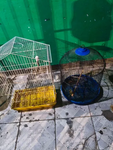 Vendo 2 gaiolas