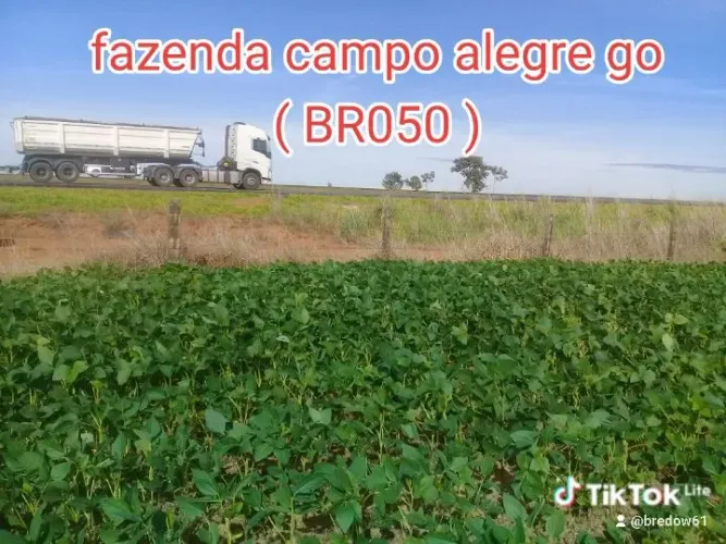Agroindustria br 050