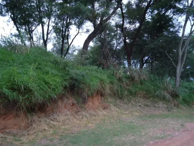 Terreno Padrão em São Carlos