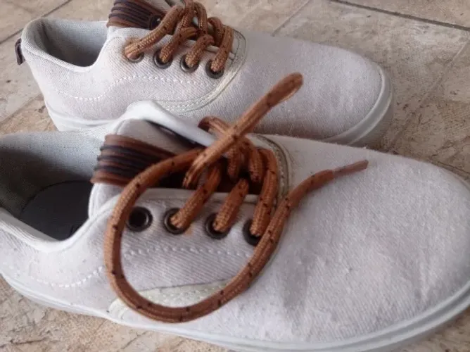 Tenis