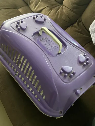 Caixa para transporte cachorro ?