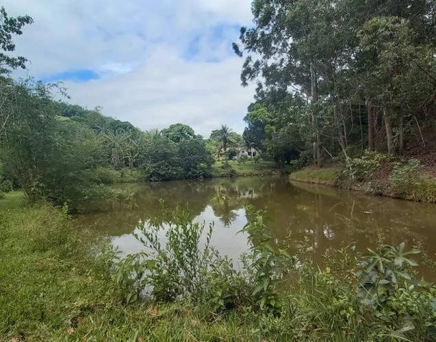 Ótimo sítio venda em Rochedo de Minas
