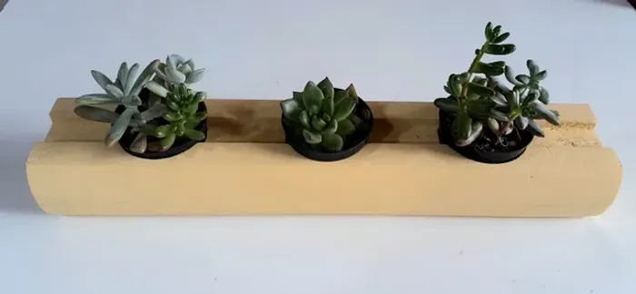 Mini Suporte Suculentas Cactos de Mesa de Madeira