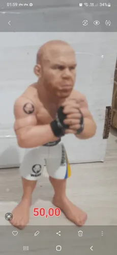 Wanderley Silva ufc Roude5