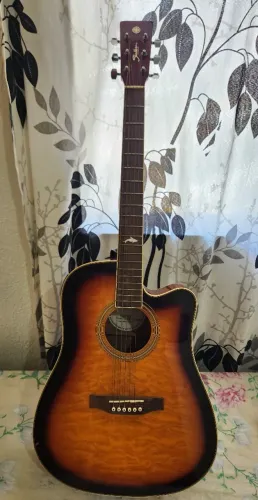 Vendo Violão Shelter