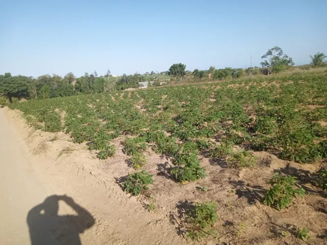 Vendo lotes em brejos dos patos em marataizes