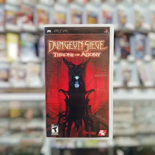 Dungeon Siege: Throne of Agony - Sony PSP