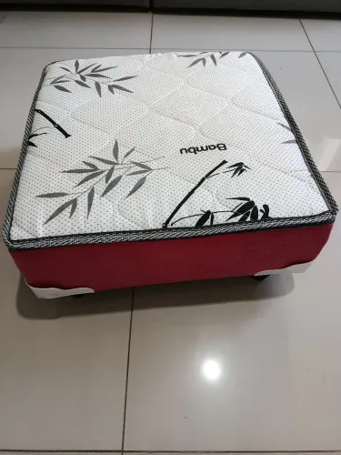 Cama box pet cachorro