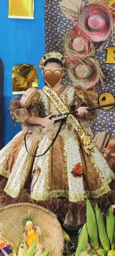 Alugo vestido junino MARIA BONITA impecável