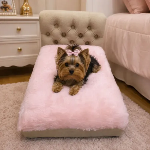 Cama pet cachorro