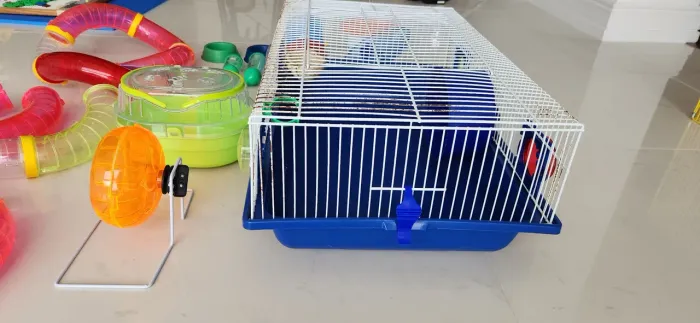 CASINHA E ACESSÓRIOS DE HAMSTER