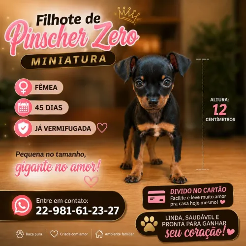 Piencher 0 miniatura 