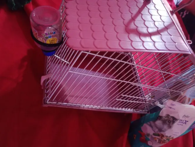 Vende ser casinha para mini hasmet