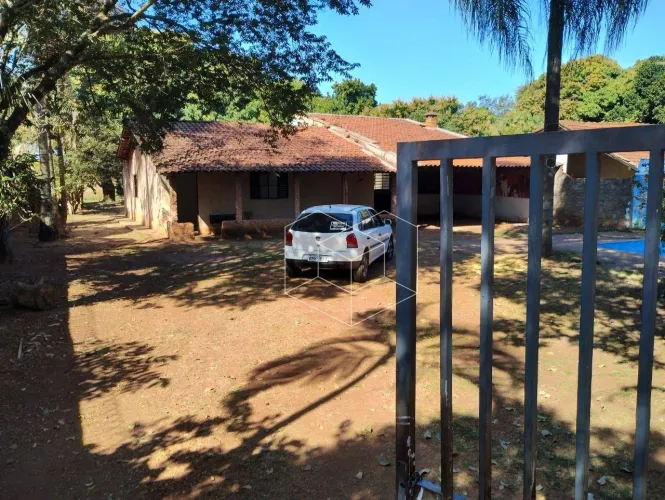 PORTAL DAS ARARAS ESTUDA CARRO NO NEGOCIO
