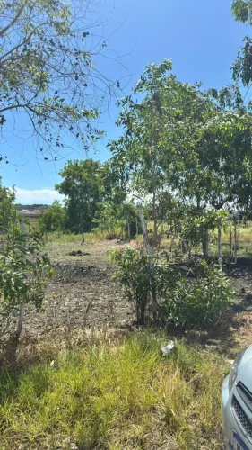Terreno 10x20 a venda - 1km da rotatória do francês 