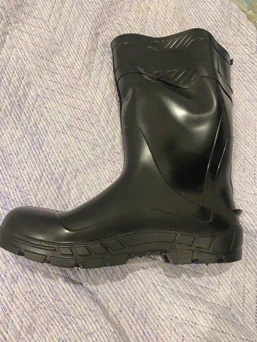 Bota