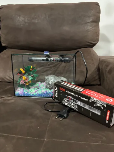 Aquário para peixe beta montado
