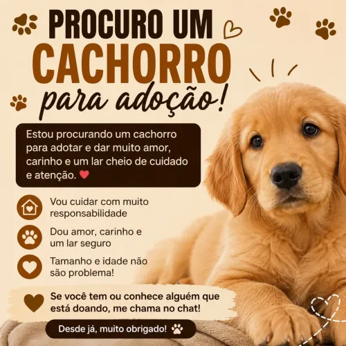 A procura de um Dog