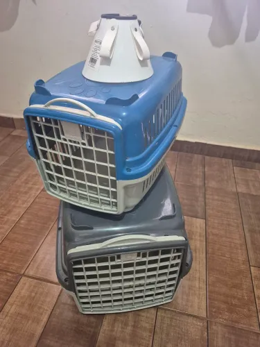 Caixa de tranporte de pet e colar para gato