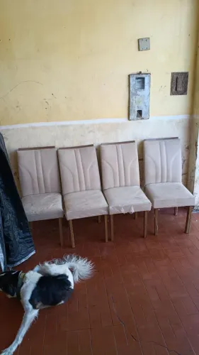 Cadeiras para mesa sala de estar MDF/madeira 