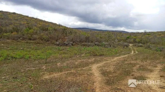 Área, Fazenda à venda, 1500000 m² por R$ 820.000 - Itatuba - Itatuba/PB