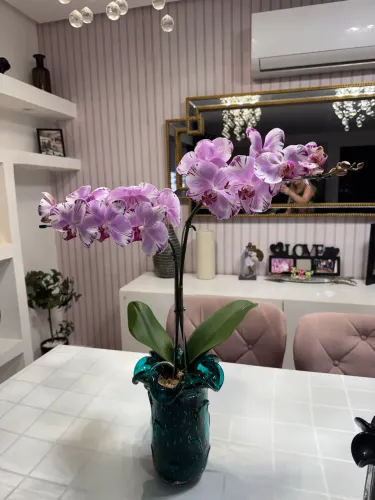 Preciso de domestica que tenha muita experiência